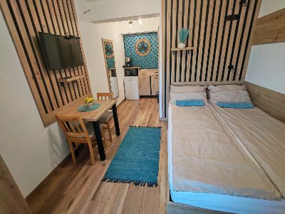 Standard Apartment, 2 persons: double bed, table, TV and kitchenette.